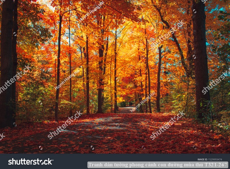 Tranh dán tường phong cảnh hồ thác, cây cối T321-535